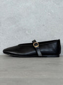 IVY BLACK