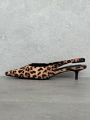 LAVINIA LEOPARD