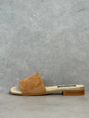 SHILA CAMEL