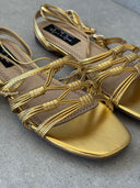 FIONA GOLD