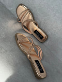 SONIA CHAMPAGNE