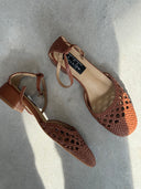CAMELIA CAMEL